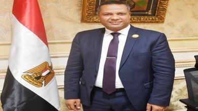 النائب محمد حمزة،